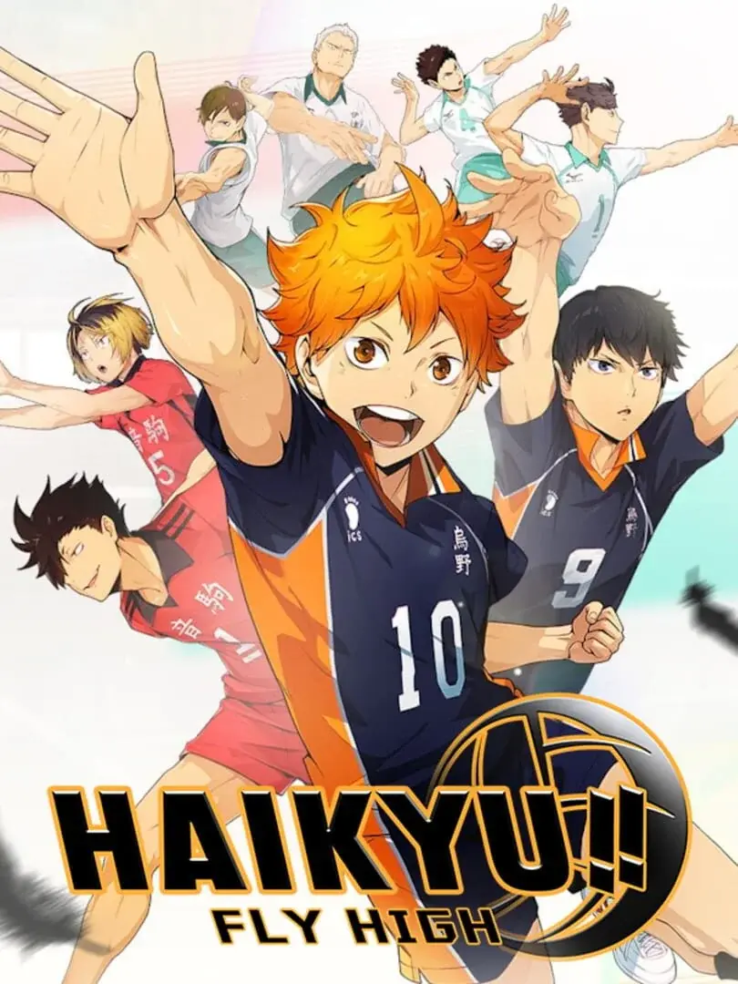 HAIKYU FLY HIGH